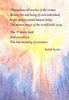 Postcards Verses & Mediation from Rudolf Steiner