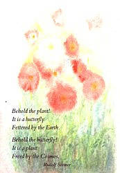 Postcards Verses & Mediation from Rudolf Steiner