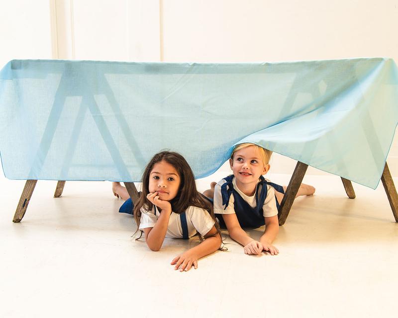Sarah's Silks Cotton Playcloth Blue