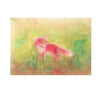 Seccorell Postcard Fox