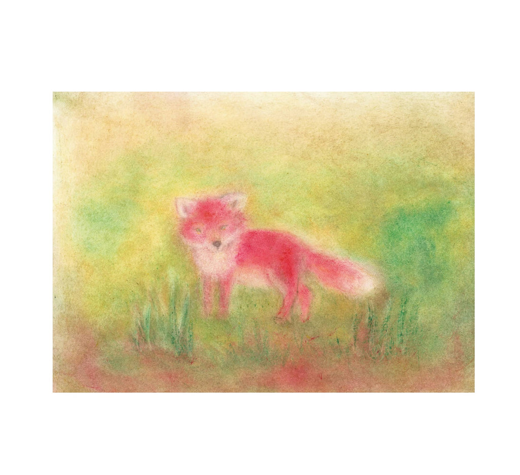 Seccorell Postcard Fox