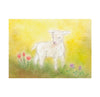 Seccorell Postcard Lamb