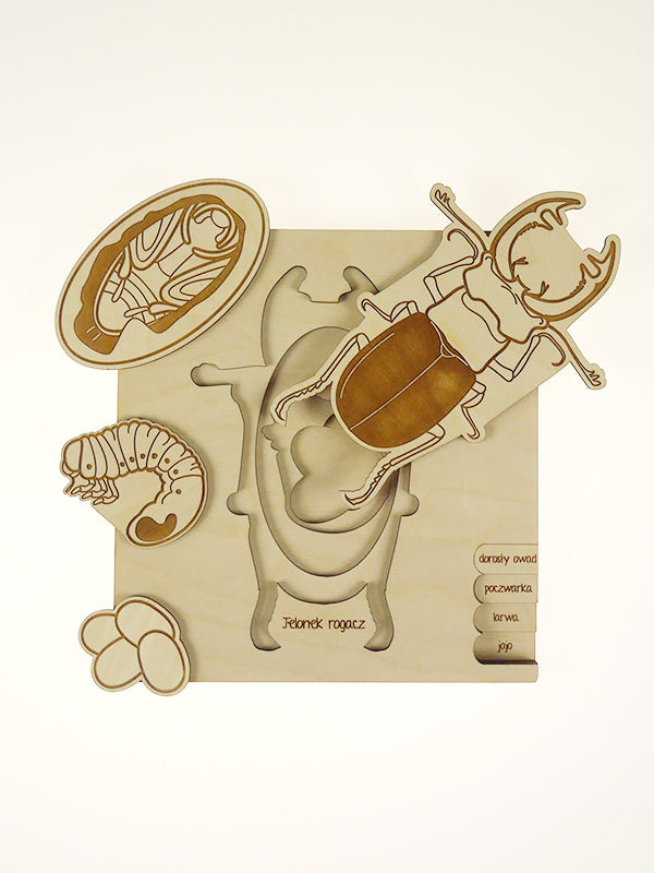 Stuka Puka Stag Beetle Puzzle