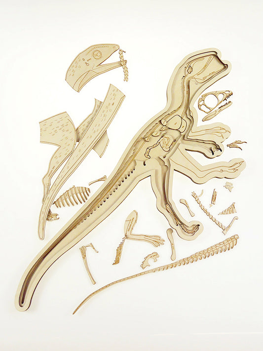 Stuka Puka Dinosaur Skeleton Puzzle
