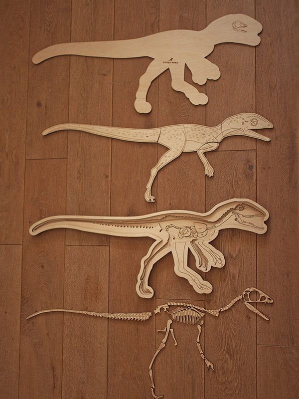 Stuka Puka Dinosaur Skeleton Puzzle
