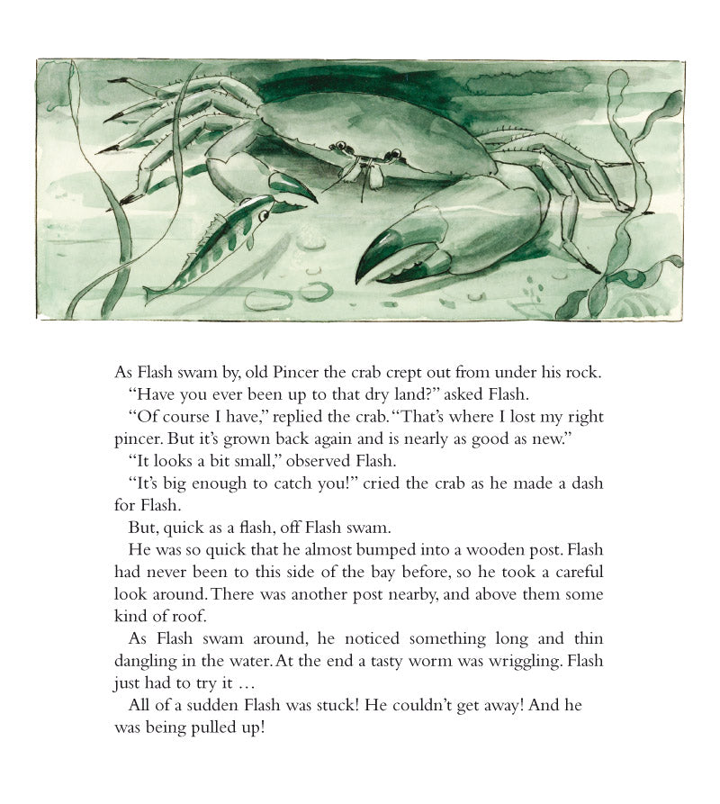 The Curious Fish