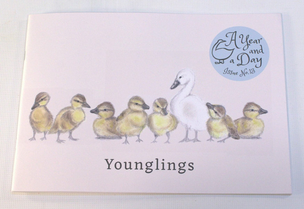 A Year & A Day Magazine, Issue 13 Younglings - vendor-unknown - Honeybee Toys