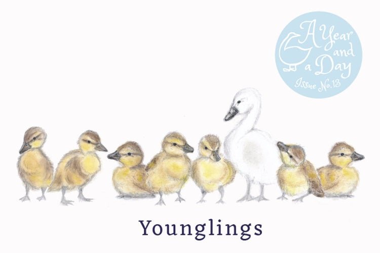 A Year & A Day Magazine, Issue 13 Younglings - vendor-unknown - Honeybee Toys