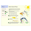 A Year & A Day Magazine, Issue 18 Flight - vendor-unknown - Honeybee Toys