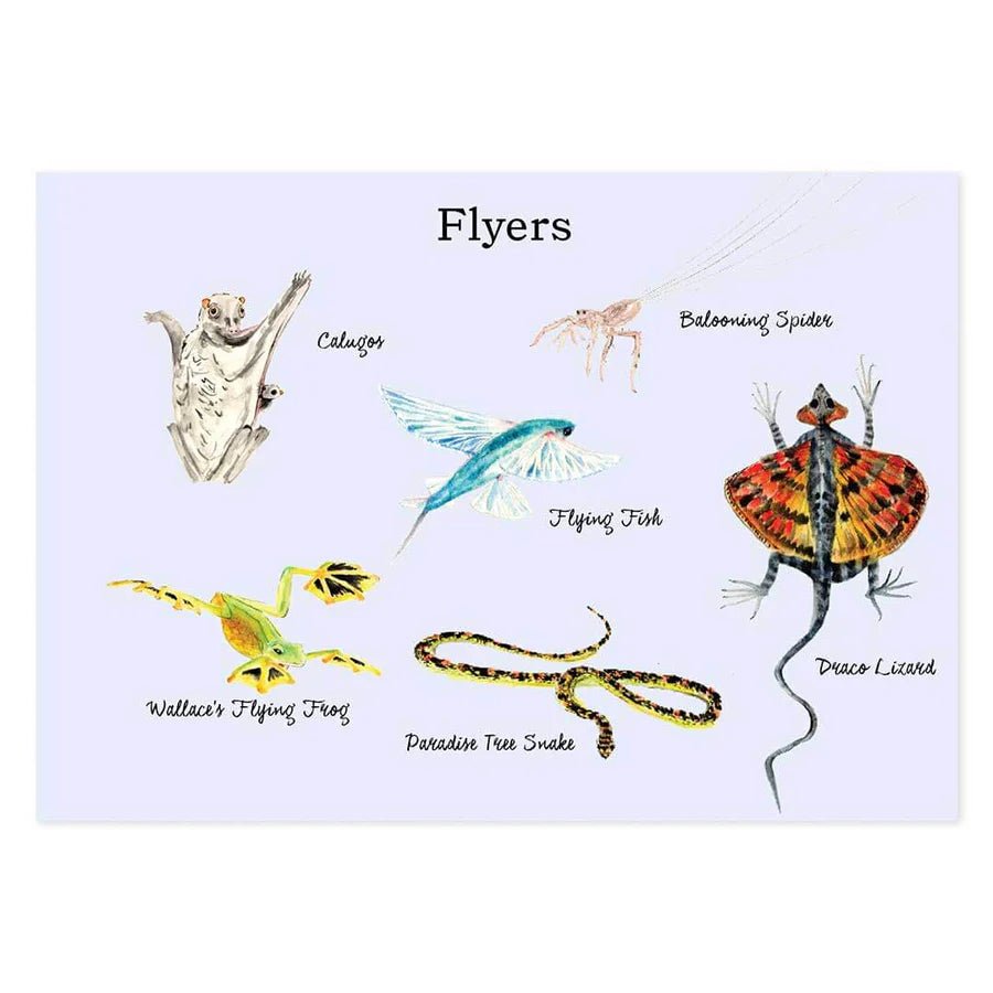 A Year & A Day Magazine, Issue 18 Flight - vendor-unknown - Honeybee Toys