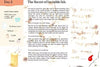 A Year & a Day Magazine, Issue 22 Fire - vendor-unknown - Honeybee Toys