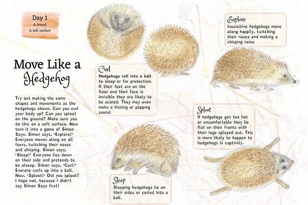 A Year & A Day Magazine Issue 7 Briars and Quills - vendor-unknown - Honeybee Toys