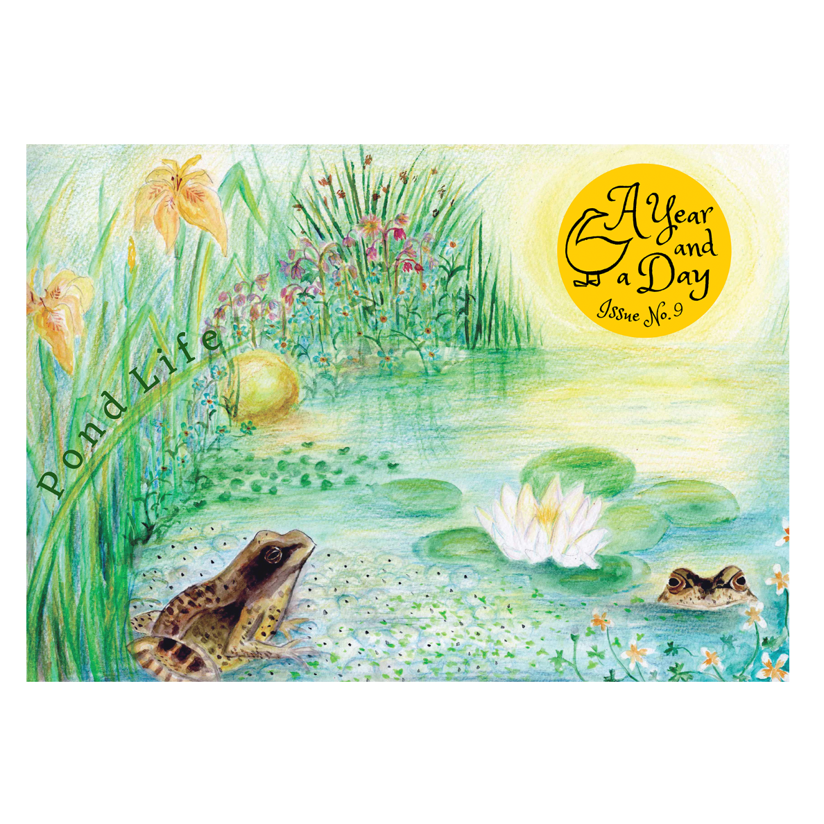 A Year & A Day Magazine Issue 9 Pond Life - vendor-unknown - Honeybee Toys