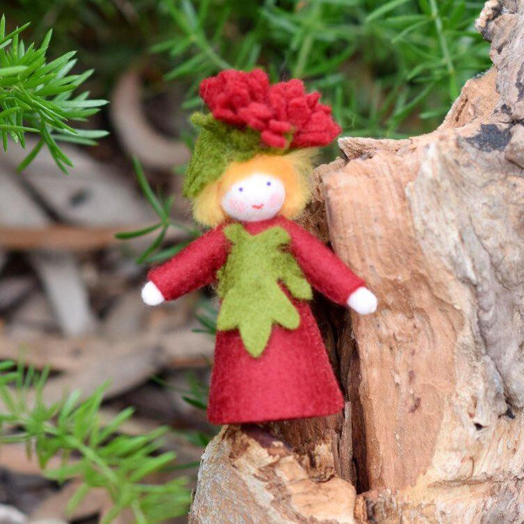 Ambrosius Flower Fairy Michaelmas Daisy Boy