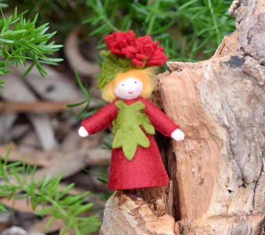 Ambrosius Flower Fairy Michaelmas Daisy Boy