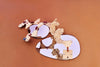 BAVVIC Builder Set (Was $210.00 Now $126.00) 40% off - vendor-unknown - Honeybee Toys