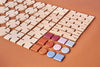 BAVVIC Connectors Set (Was $66.00 now $39.60) 40% off - vendor-unknown - Honeybee Toys