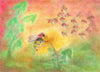 Seccorell Art Smudge Pastels, Scola