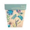 Sow 'n Sow Gift of Seeds Bug Wonderland