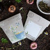 Sow 'n Sow Gift of Seeds Chamomile