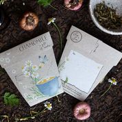 Sow 'n Sow Gift of Seeds Chamomile