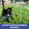 Dr Zigs Cat Bubbles Kit - vendor-unknown - Honeybee Toys