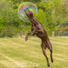 Dr Zigs Doggie Bubbles Kit - vendor-unknown - Honeybee Toys