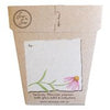 Sow 'n Sow Gift of Seeds Echinacea