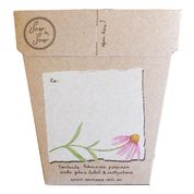 Sow 'n Sow Gift of Seeds Echinacea