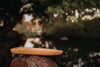 Explore Nook Boat - vendor-unknown - Honeybee Toys