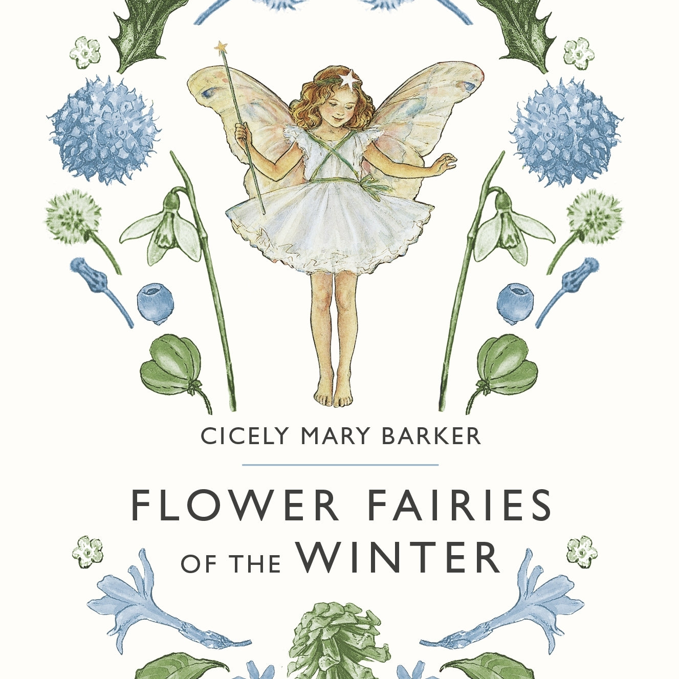Flower Fairies of the Winter