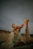 Grapat Dear Universe - vendor-unknown - Honeybee Toys