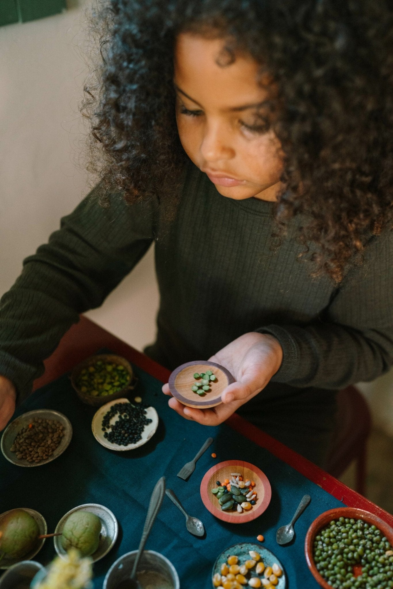 Grapat Dishes - vendor-unknown - Honeybee Toys