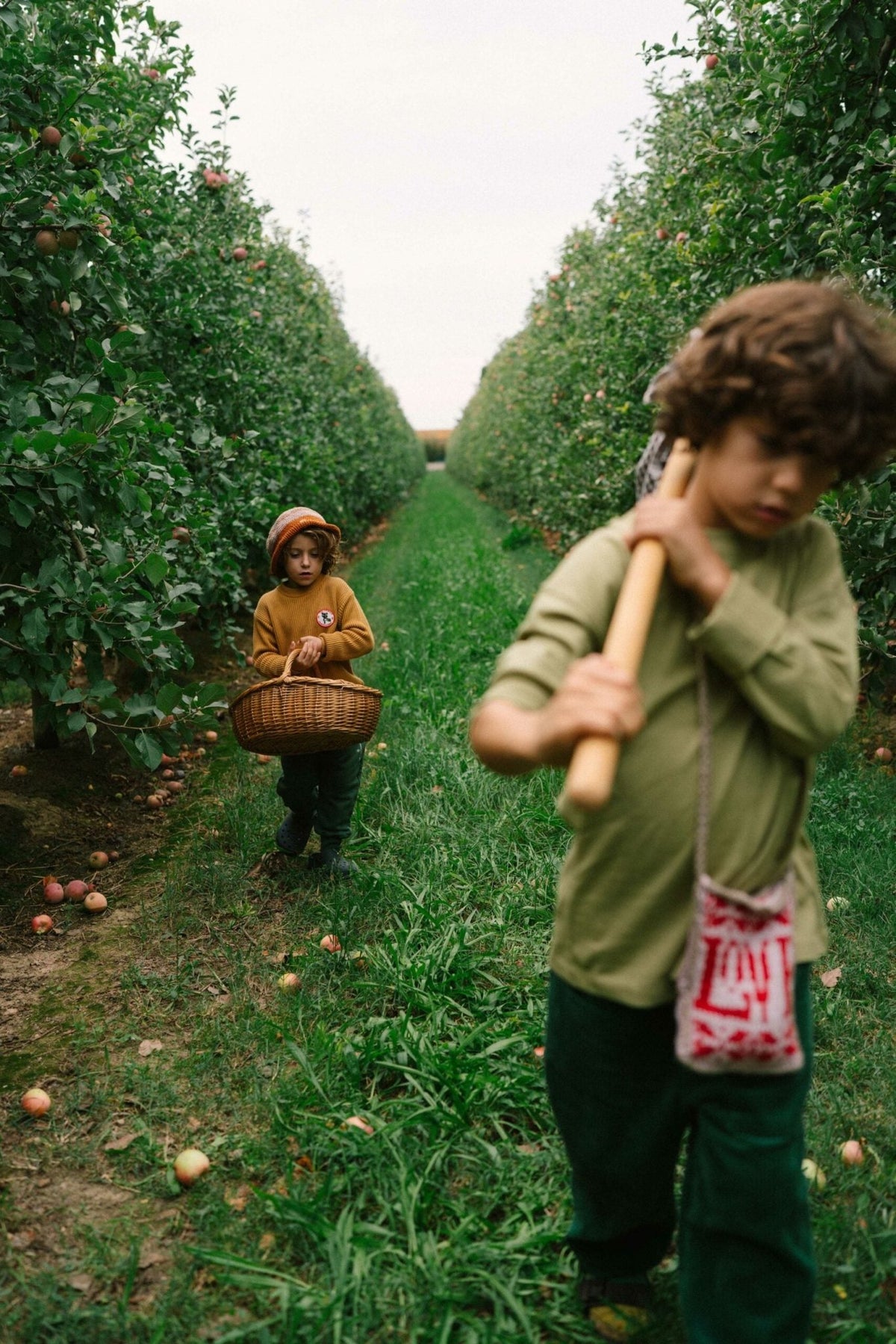 Grapat Fruits - vendor-unknown - Honeybee Toys
