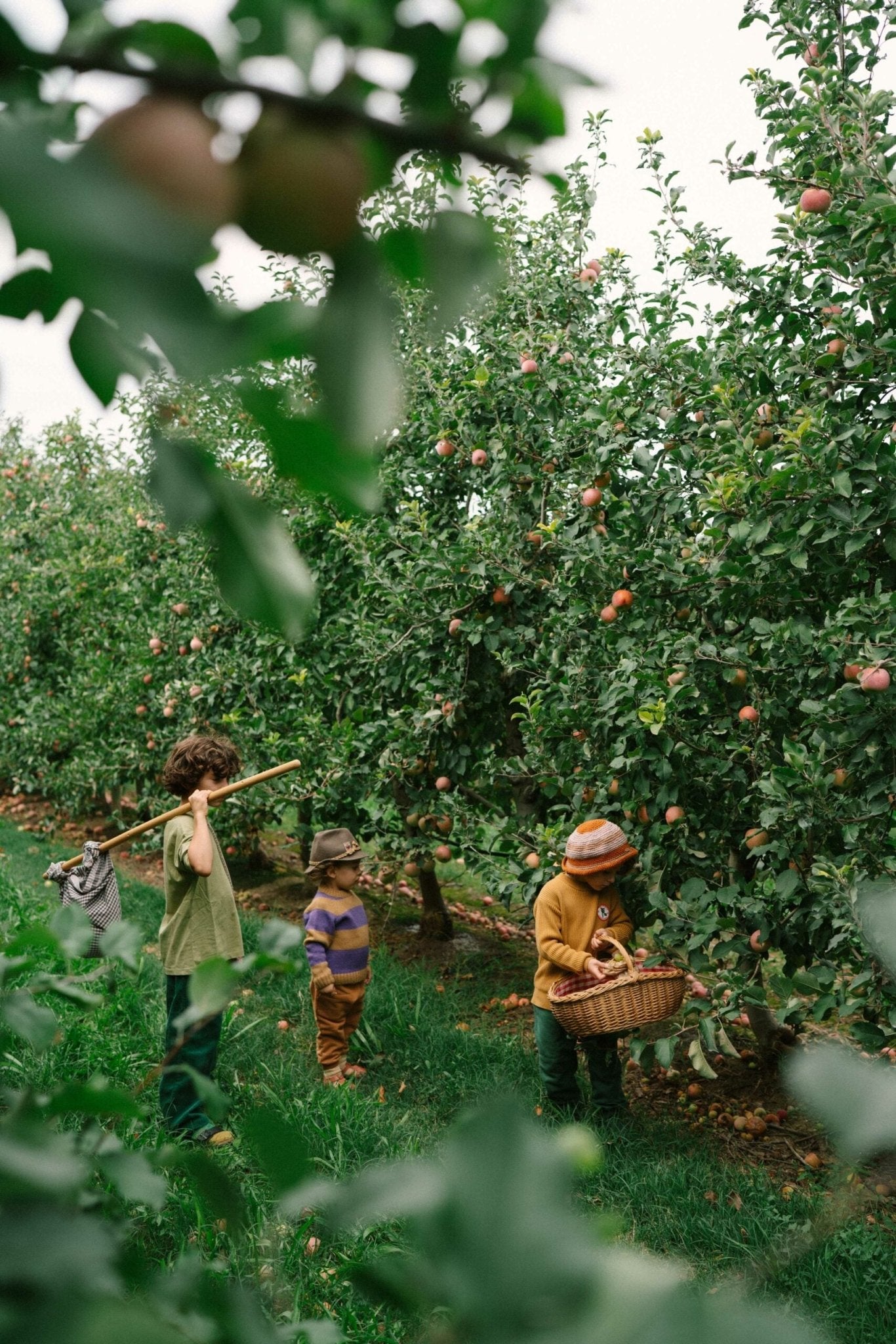 Grapat Fruits - vendor-unknown - Honeybee Toys