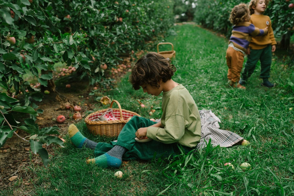 Grapat Fruits - vendor-unknown - Honeybee Toys