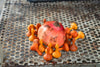 Grapat Mandala Pumpkins - vendor-unknown - Honeybee Toys