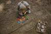 Grapat Mandala Rainbow Snowflakes - vendor-unknown - Honeybee Toys