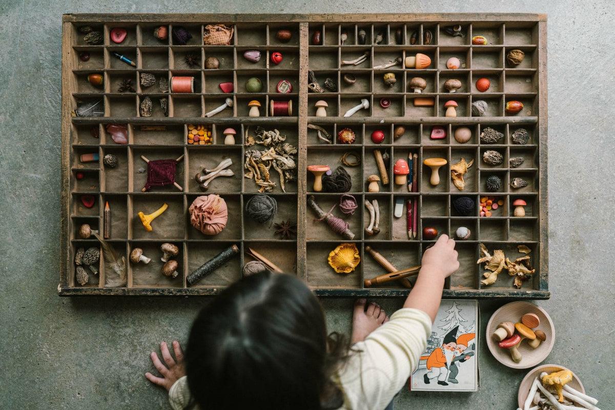 Grapat Mushroom Grove - vendor-unknown - Honeybee Toys