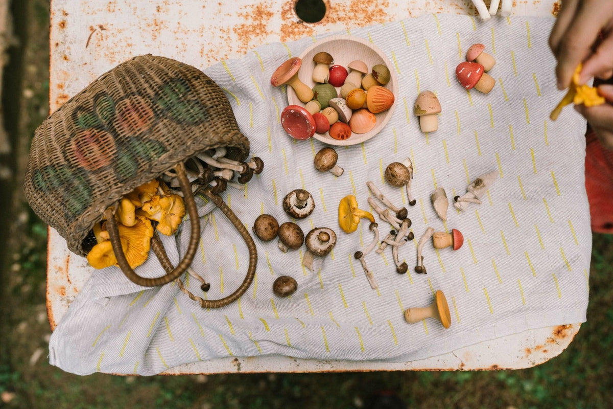 Grapat Mushroom Grove - vendor-unknown - Honeybee Toys