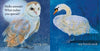 Hello Animals What Makes You Special?