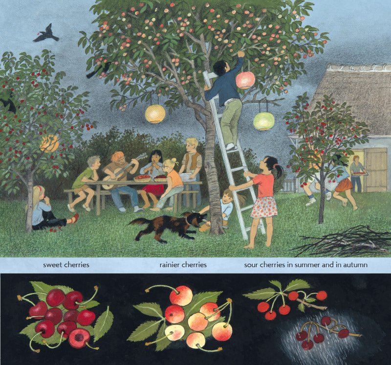 How Does My Fruit Grow? - vendor-unknown - Honeybee Toys
