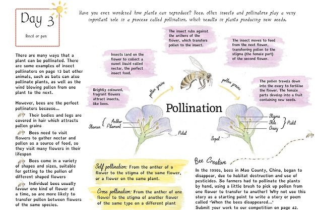 A Year & A Day Magazine Issue 6 Bees
