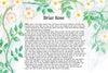 A Year & A Day Magazine Issue 7 Briars and Quills