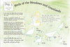 A Year & A Day Magazine Issue 1 Eggs, Birds and Nests