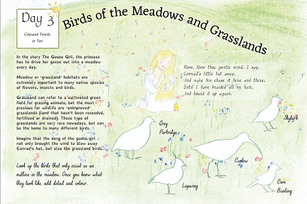A Year & A Day Magazine Issue 1 Eggs, Birds and Nests
