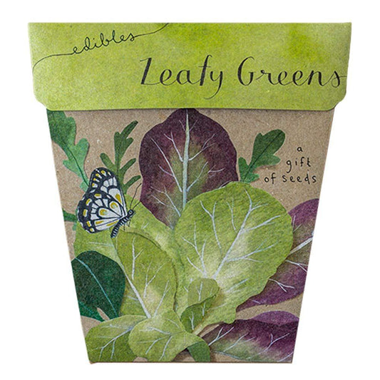 Sow 'n Sow Gift of Seeds Leafy Greens
