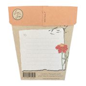 Sow 'n Sow Gift of Seeds Marigold