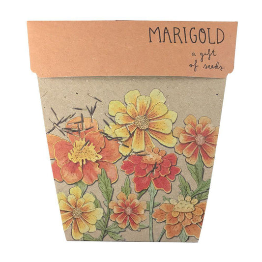 Sow 'n Sow Gift of Seeds Marigold