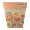 Sow 'n Sow Gift of Seeds Marigold